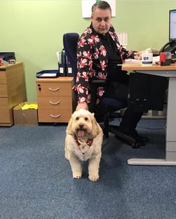 IPS Dog