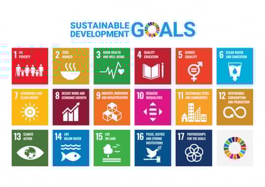 Sustainable Goals